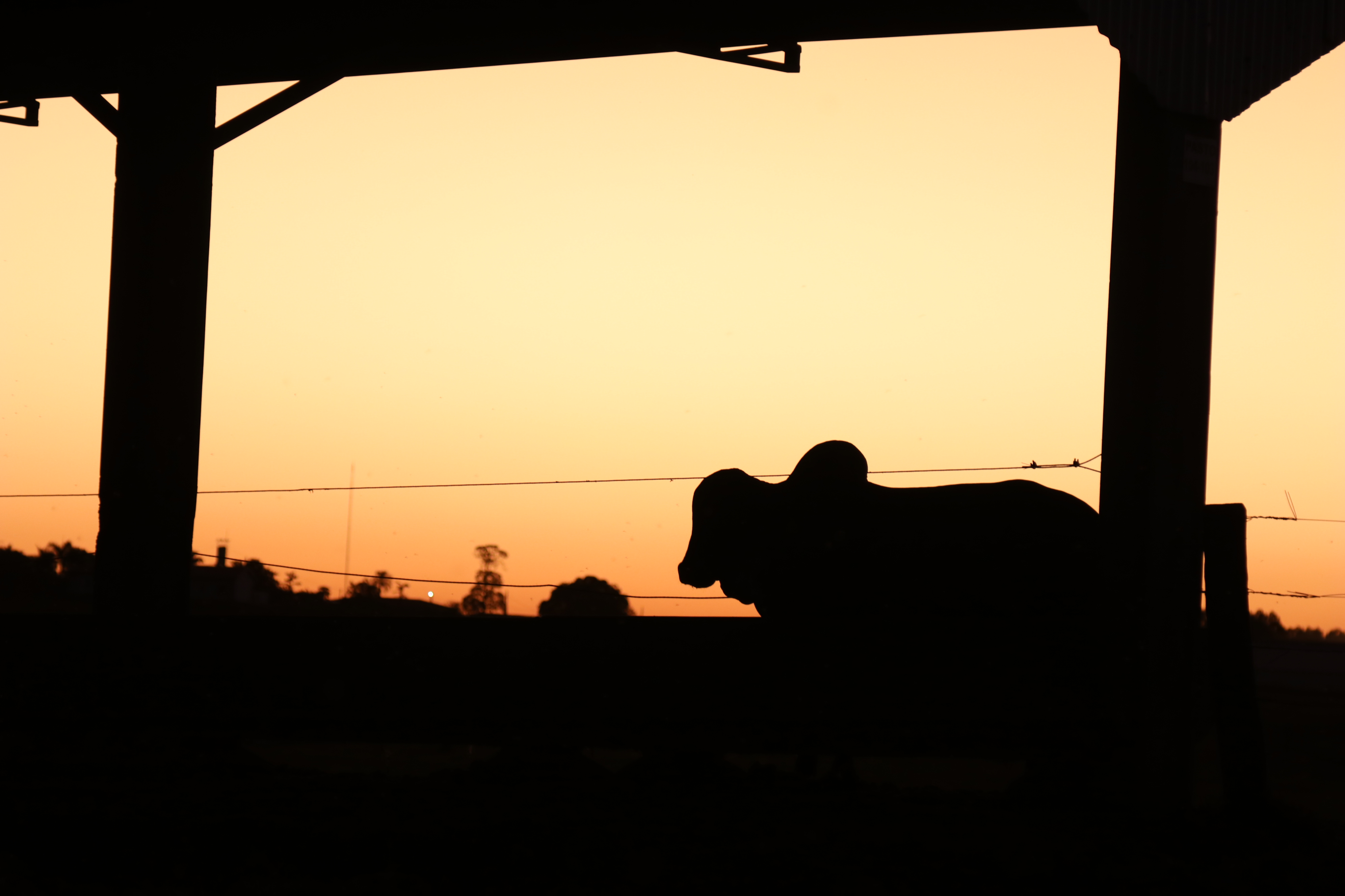 Grupo LPCD - Operação 3