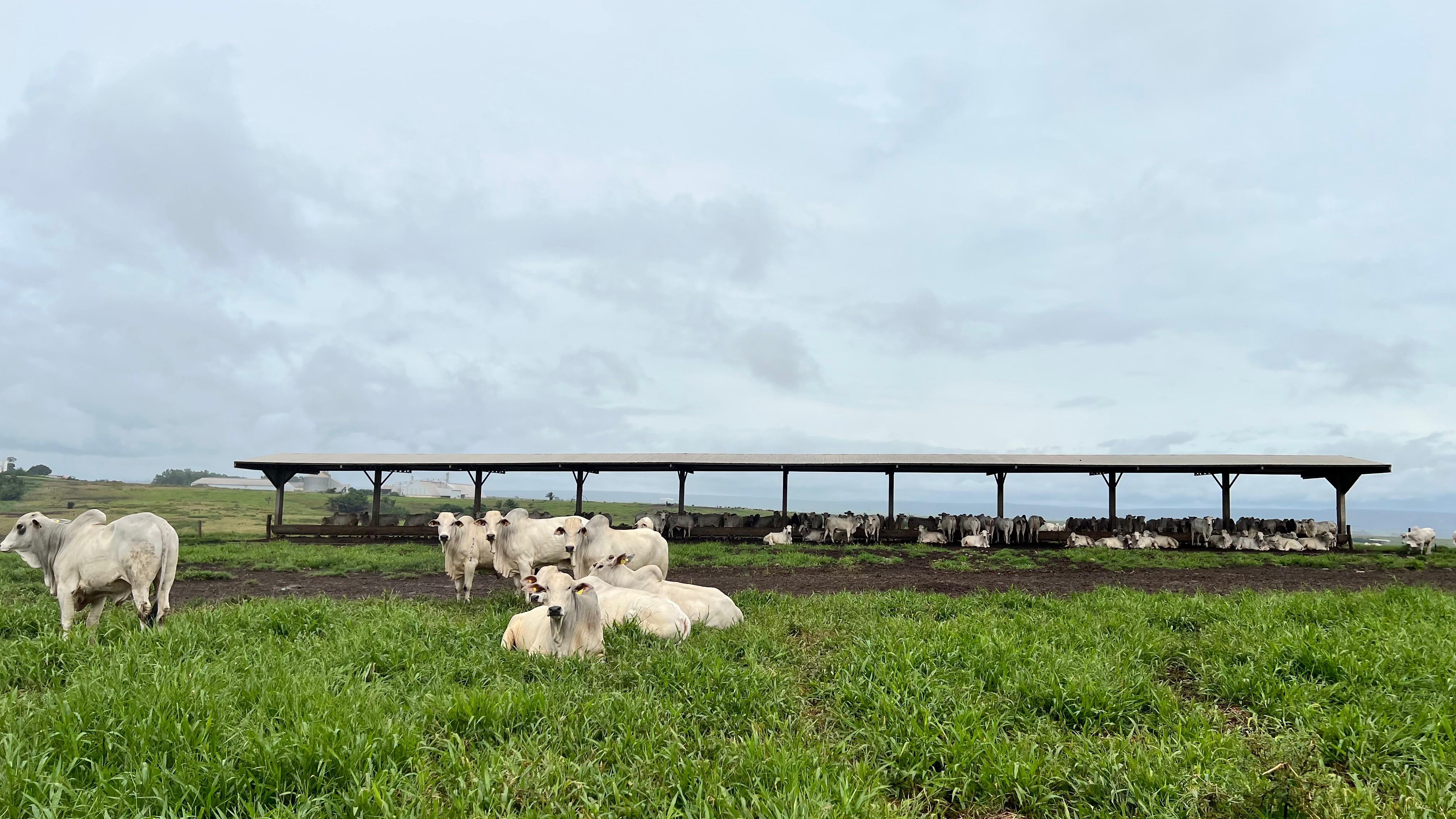 Grupo LPCD - Operação 6